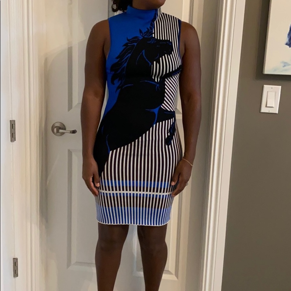 Clover Canyon dress